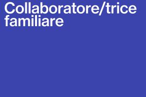 collaboratore/trice familiare